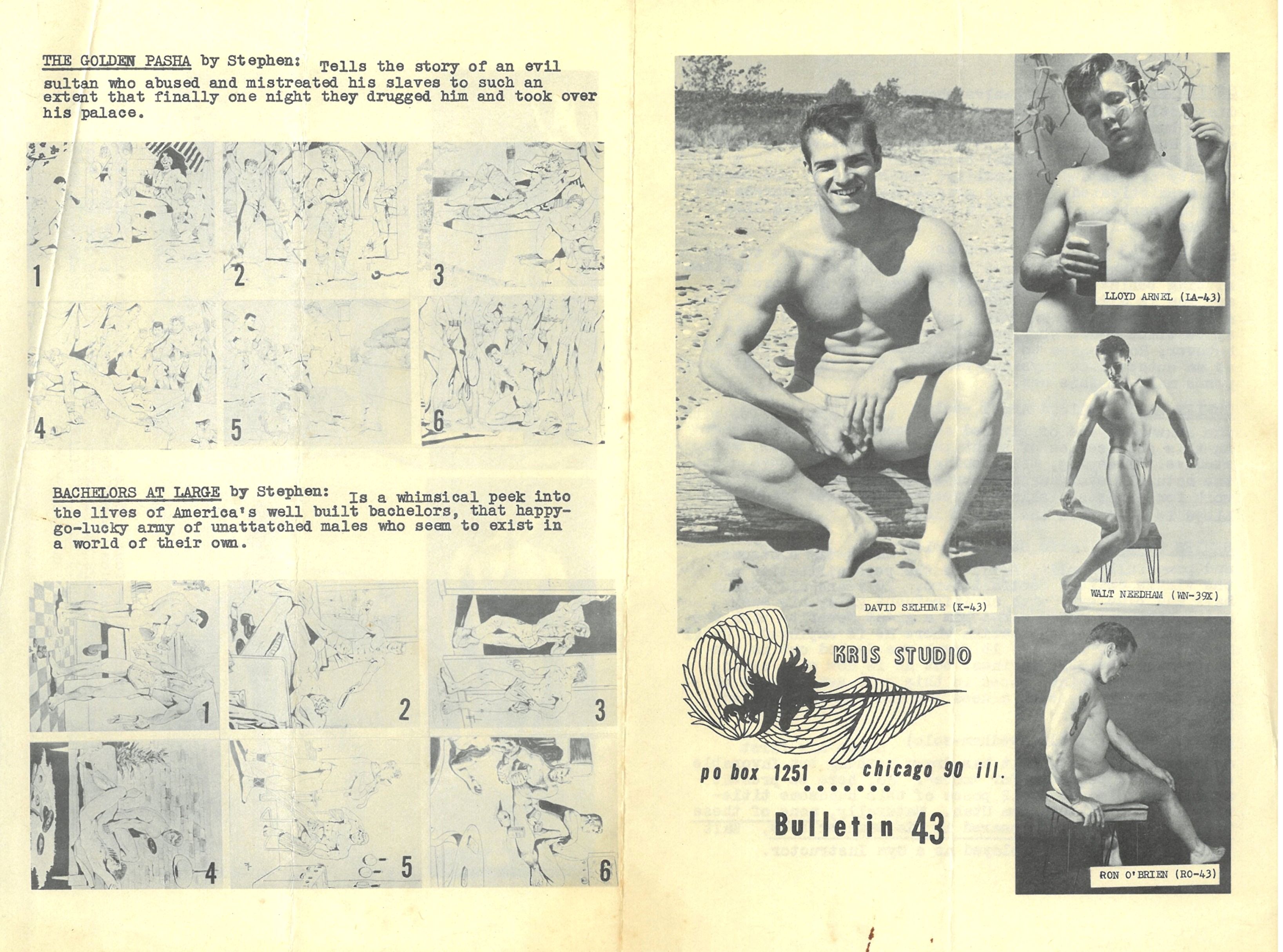 Kris Studio Brochure 43